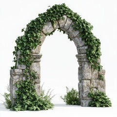 A stone arch is covered in green ivy. It's shown with plants on a white background.
