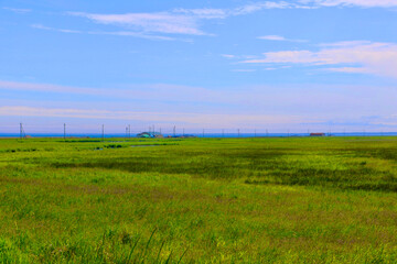草原・湿地帯・野付半島（北海道・別海町）