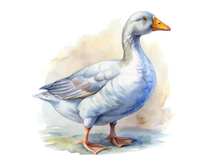 watercolor goose vector illustration isolated on white background