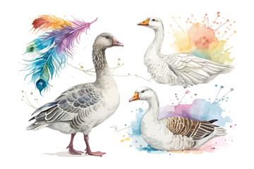 set of watercolor goose vector illustration isolated on white background