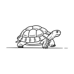 Hand drawn sketch of a tortoise walking on a white background