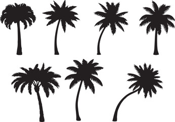 Obraz premium Black palm trees silhouette collection tropical foliage, palm trees, silhouette, black, tropical, foliage, fronds, trunks, nature, vector, illustration, design elements, summer, vacation, beach, exoti