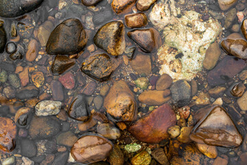 Obraz na płótnie Canvas pebble or gravel and round stone beach in stream water or river and natural clean pond with sea to clear transparent on top view or foot spa and nature massage and for pattern texture background