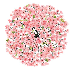 Blooming Tree Top View Vector Illustration