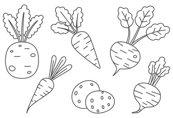 Root vegetables and potatoes with leafy tops carrots beets