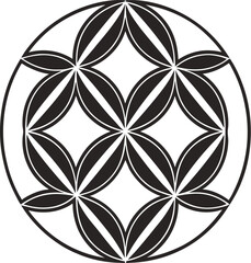 Fototapeta premium black and white flower