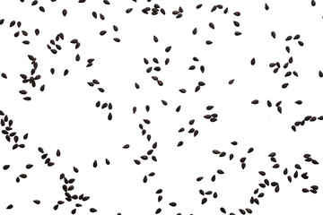 Black sesame seeds isolated on white background
