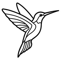 Hummingbird Silhouette Vector Outline