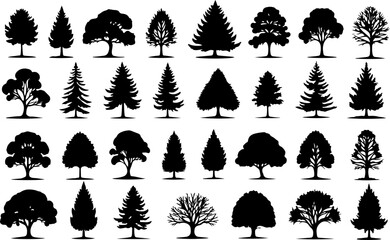 Tree Silhouettes, Forest Shapes, Pine Trees, Oak 