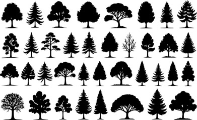 Tree Silhouettes, Forest Shapes, Pine Trees, vector bundle
