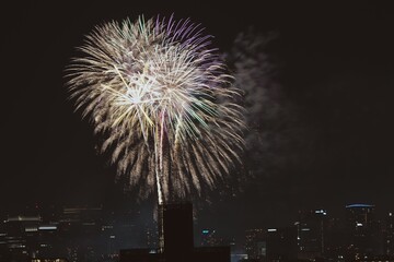 夜空に咲く大輪の花火