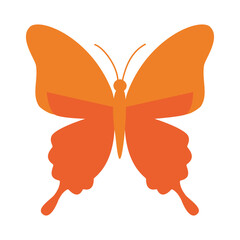 an orange silhouette of a butterfly with detailed wings, ideal for nature, beauty, or decorative design elements