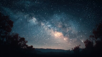 Starry night sky over trees