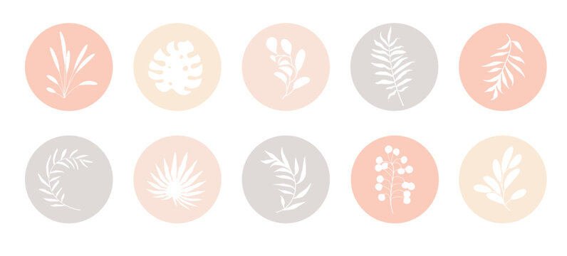 Vector abstract organic story highlight cover templates. Celestial influencer highlights. Mid Century Modern pale neutral earthy color botanical illustration. Delicate hipster boho design elements set