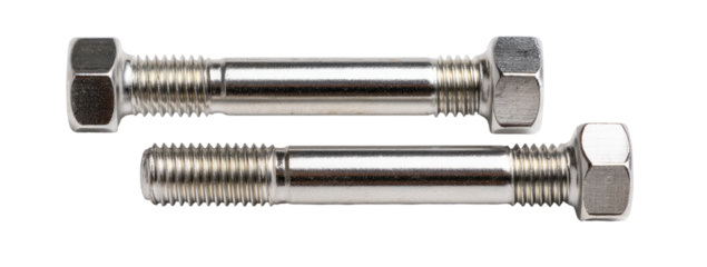 Two stainless steel bolts with hex heads