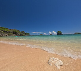 南国の美しいビーチと紺碧の空