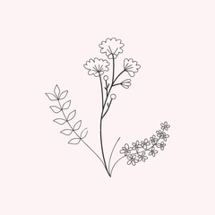 Hand drawn flower, flower line art, flower line drawing