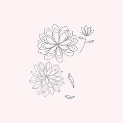 Hand drawn flower, flower line art, flower line drawing