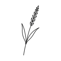 outline lavender branch graphic on white background 
