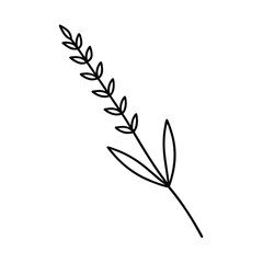 outline lavender branch graphic on white background 