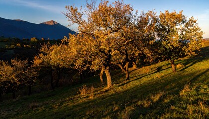 Autumnal hillside with trees