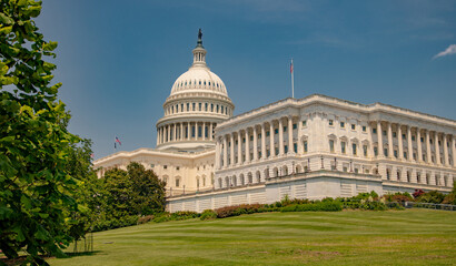 Obraz premium Historic Capitol by the national flag. Capitol building. USA symbol. U.S. Senate. American capital city. Washington DC. Capitol dome as a symbol of law. Capitol on a sunny day.