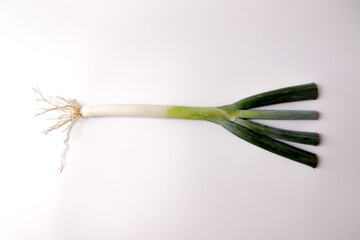 Fototapeta premium A single stem of green onion on a white background