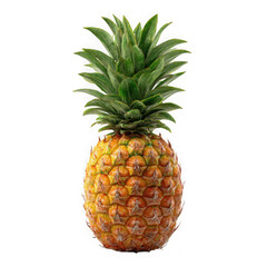 Obraz premium Whole ripe pineapple with green crown isolated on transparent background