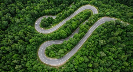 Aerial perspective of a winding road in a dense green forest, illuminated by soft natural lighting, highlighting lush foliage and a serene atmosphere.