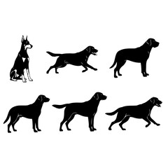 Vector  silhouette depiction of various dog breeds in different poses on transparent background
