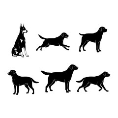 Vector  silhouette illustrations of various dog breeds in different poses on transparent background