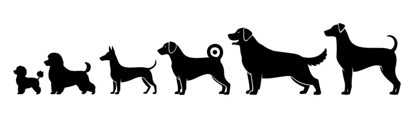 Vector  silhouette illustration of a diverse group of various dog breeds on transparent background