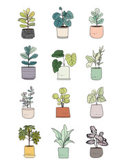 Transparent. minimalistic vector illustration of various succulent plants arranged aesthetically