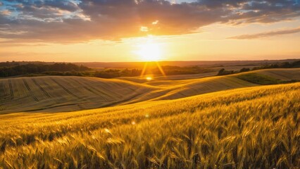 Golden wheat field stretches across rolling hills under dramatic sunset light with sun rays piercing the sky, capturing agricultural abundance, harvest season, and the richness of rural landscapes.