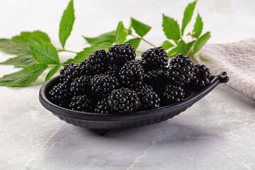 Raw sweet juicy blackberry in the bowl