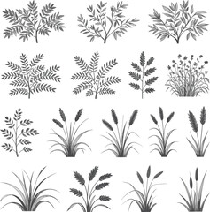 Collection of hand-drawn plant silhouettes, botanical herbs, leaves, grass, vintage foliage, isolated on white background, nature element, floral decoration