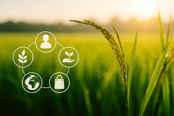 AI generated conceptual image showing smart farming system with closeup rice plant and circular icons representing human agriculture animal nature and sustainability in morning light field