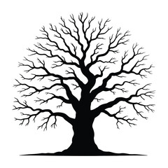Obraz premium Minimalist Winter Oak Tree Silhouette, Vector, Illustration, Outline, Line Art, Icon, White Background.