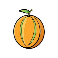 Creative Cantaloupe Fruit Vector Style on White