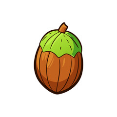 Creative Hazelnut Fruit Vector Style on White