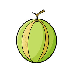 Creative Honeydew Fruit Vector Style on White