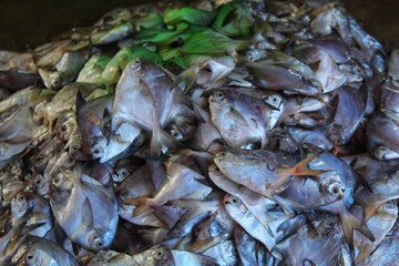 pile of pomfret fish in Indian fish super store for sale and export