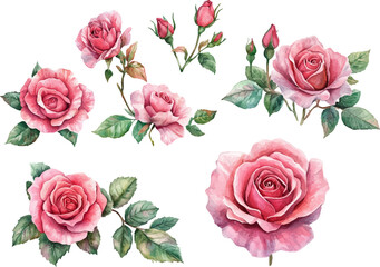 seamless pattern with roses