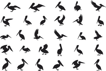 Silhouettes of pelicans in various poses, flying, standing, resting, beak details, bird collection, flat vector illustration