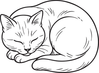 Sleeping cat line art illustration