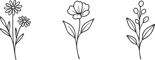 Wildflower sprig line art set