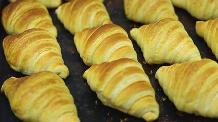 Chef making croissant in a bakery - Powered by Adobe
