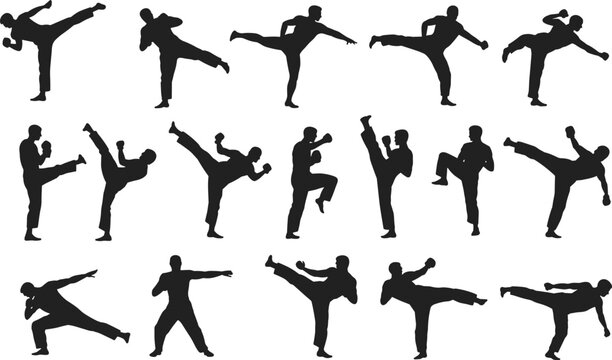 Silhouette collection of martial arts fighters practicing various kicks, punches, defense stances in training, flat vector illustration