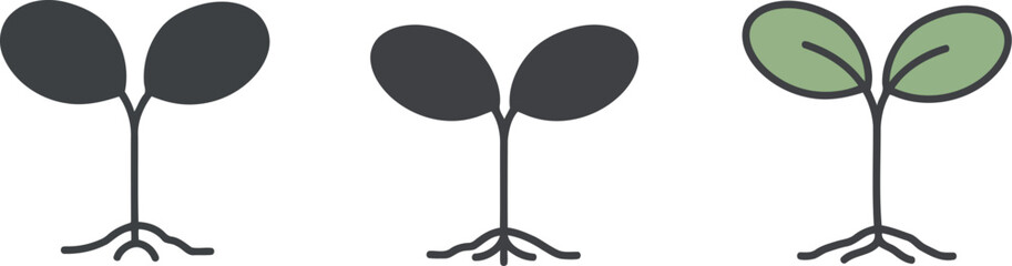 Seedling growth stages from seed to sprout