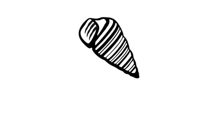 A detailed illustration of a spiral seashell, isolated on a transparent background